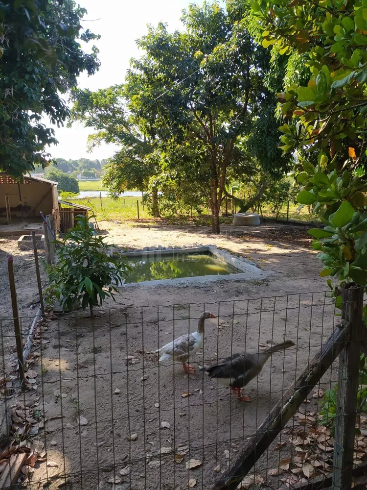 Sítio, 3 quartos, 2 hectares - Foto 15