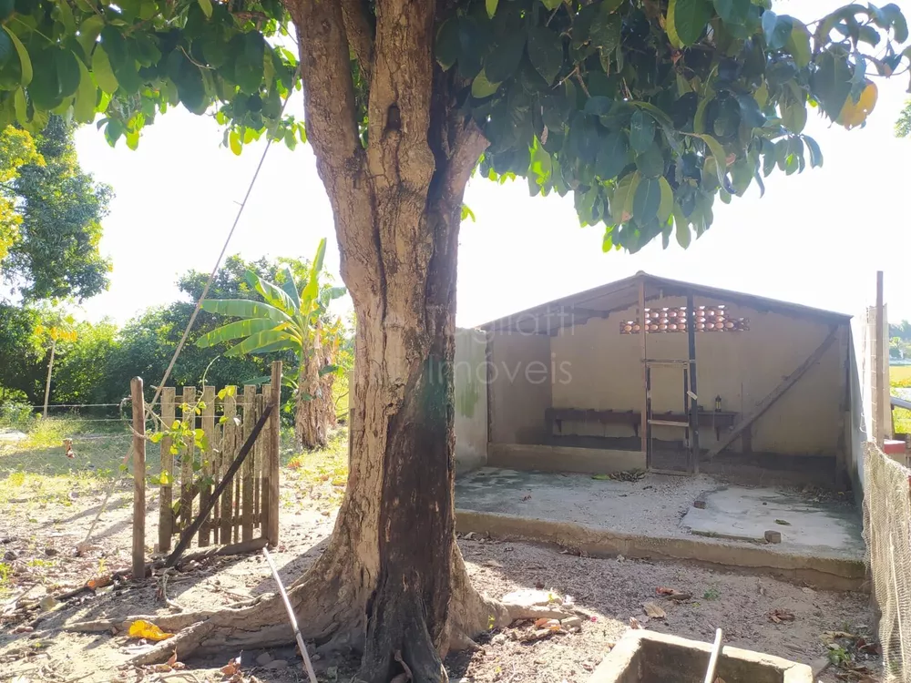 Sítio, 3 quartos, 2 hectares - Foto 19