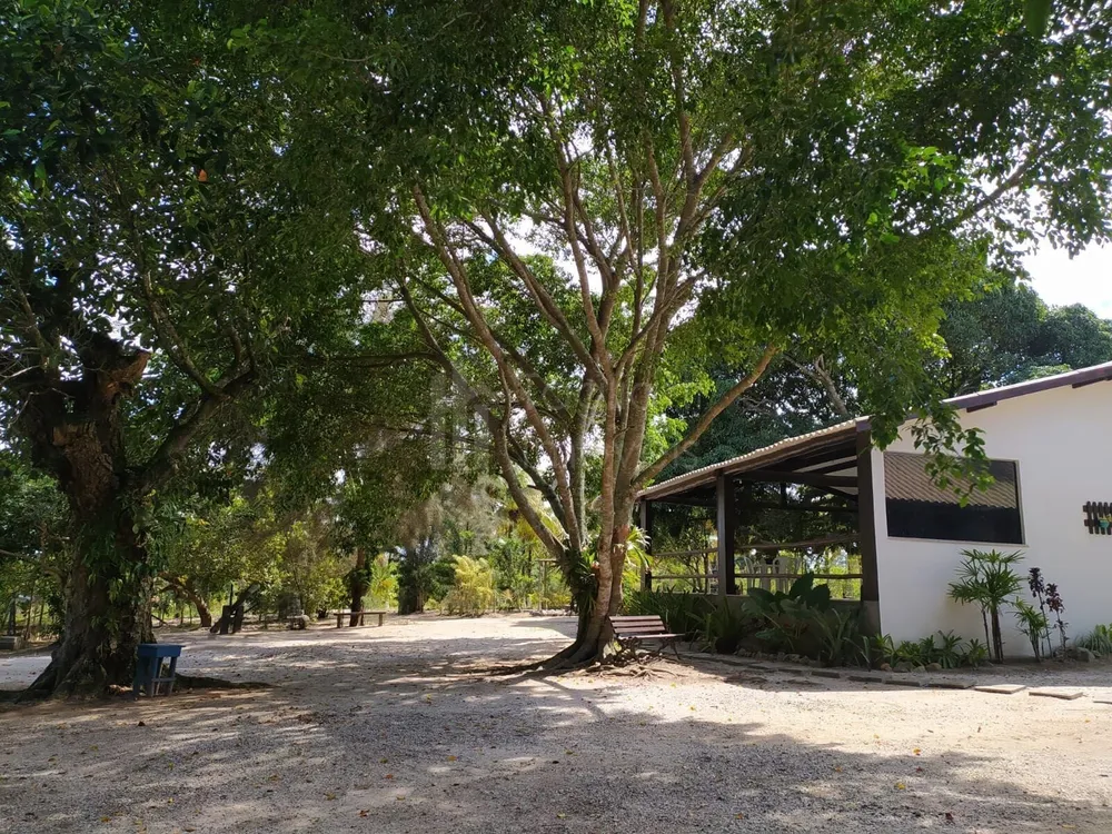 Sítio, 3 quartos, 2 hectares - Foto 11