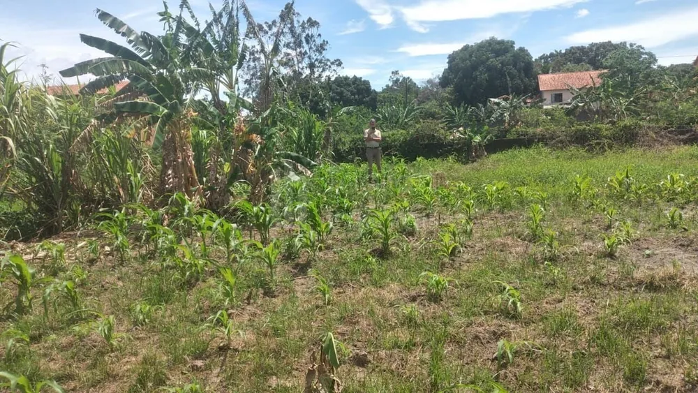 Terreno, 1500 m² - Foto 4