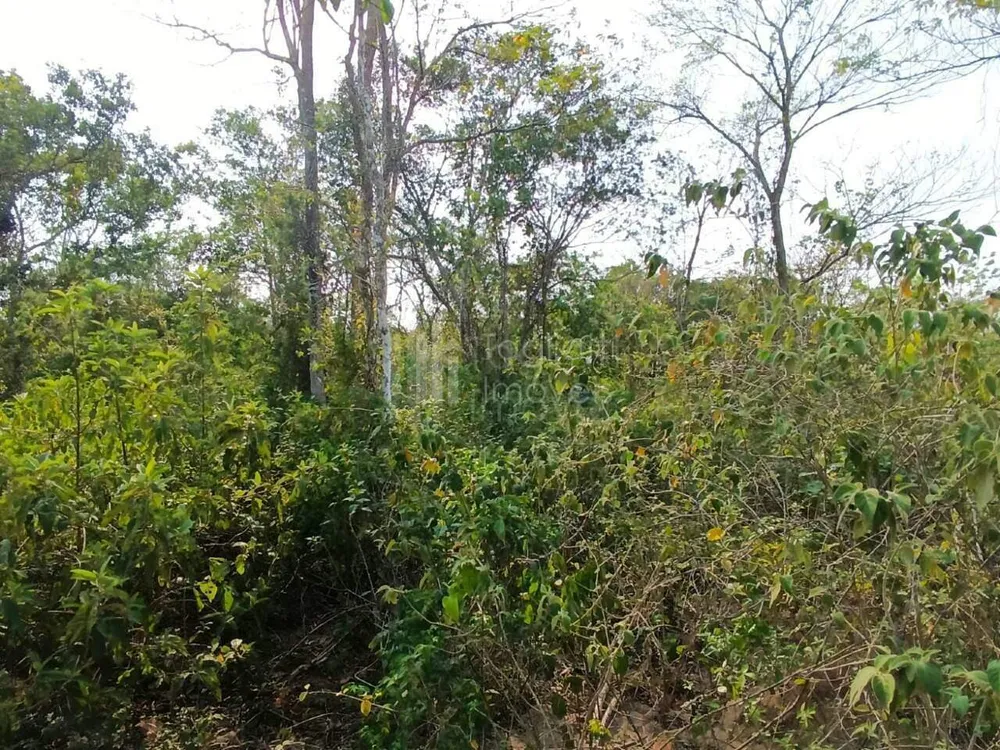 Terreno, 2003 m² - Foto 11