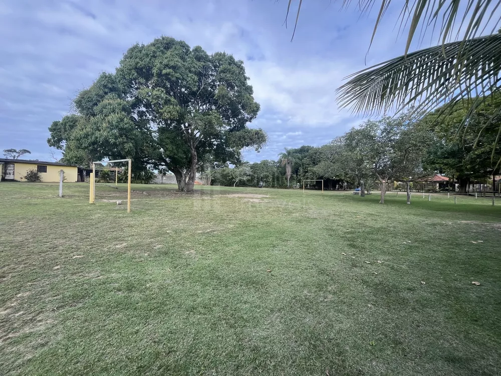 Sítio, 4 quartos, 5000 m² - Foto 4
