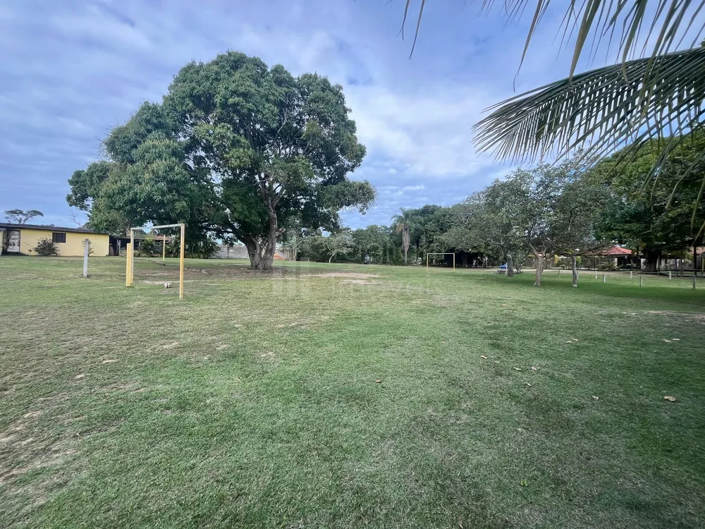 Sítio, 4 quartos, 5000 m² - Foto 30