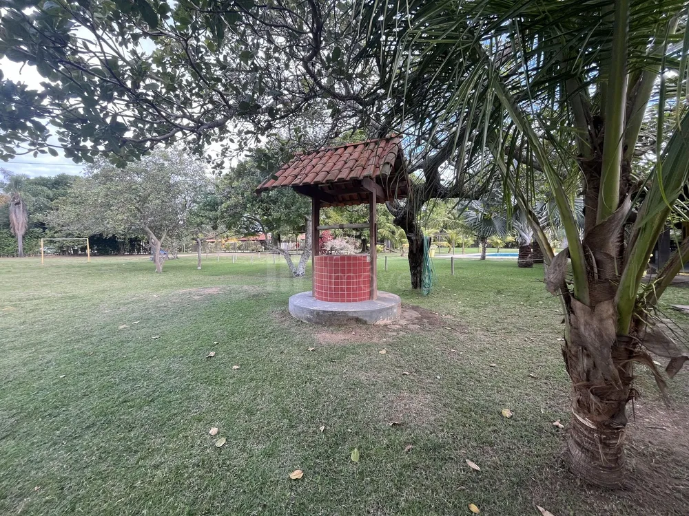 Sítio, 4 quartos, 5000 m² - Foto 32