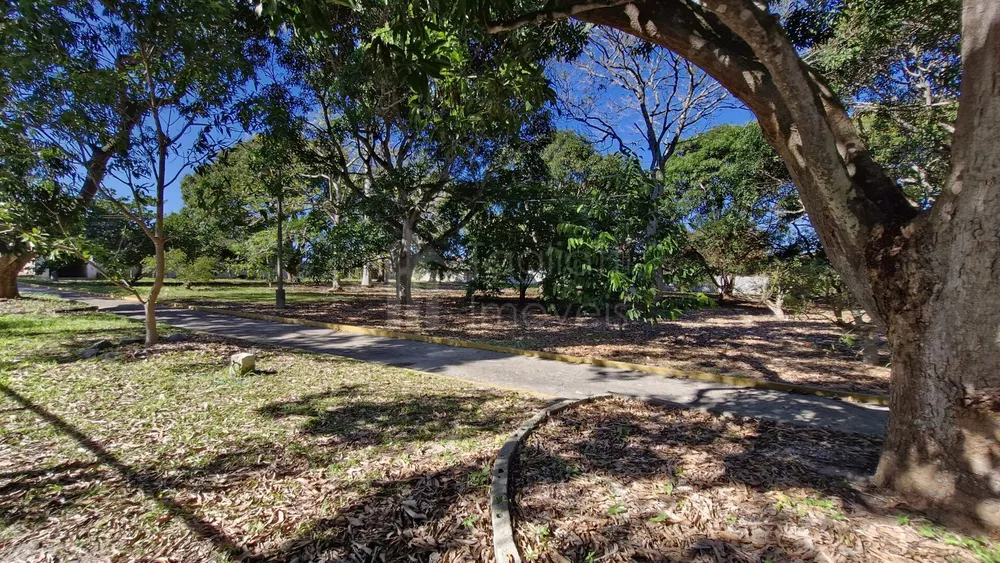 Sítio, 7 quartos, 3900 m² - Foto 28