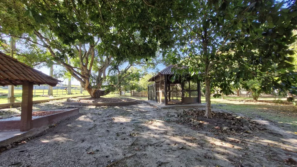 Sítio, 7 quartos, 3900 m² - Foto 26