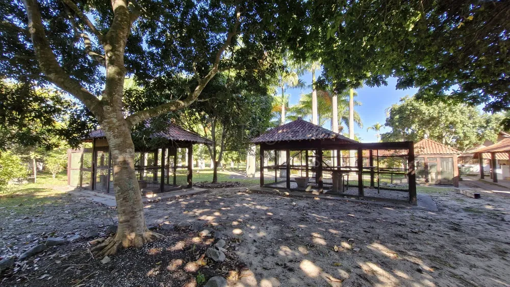 Sítio, 7 quartos, 3900 m² - Foto 25