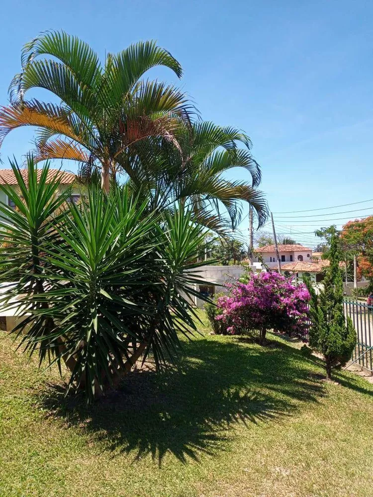 Casa, 8 quartos, 600 m² - Foto 18