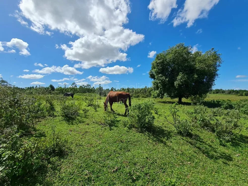 Fazenda, 2496 m² - Foto 7