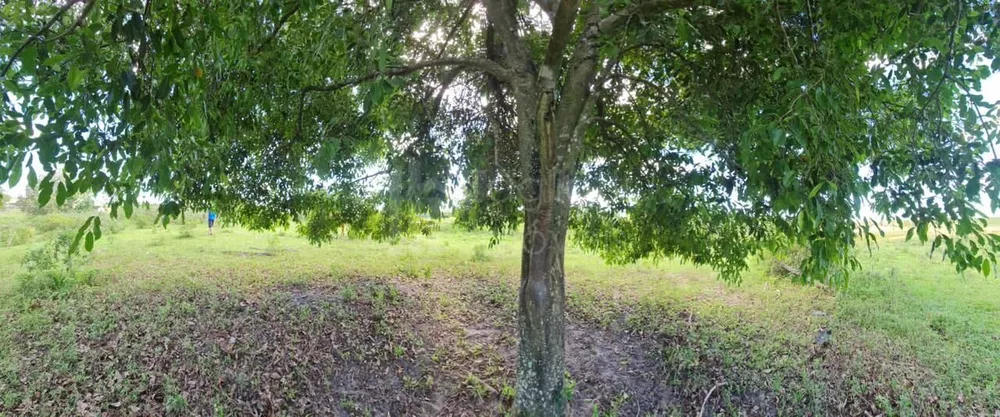 Fazenda-Sítio-Chácara, 2496 m² - Foto 1