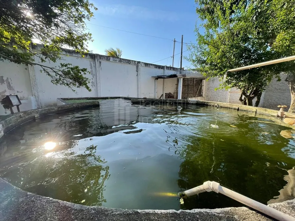 Casa, 6 quartos, 400 m² - Foto 37