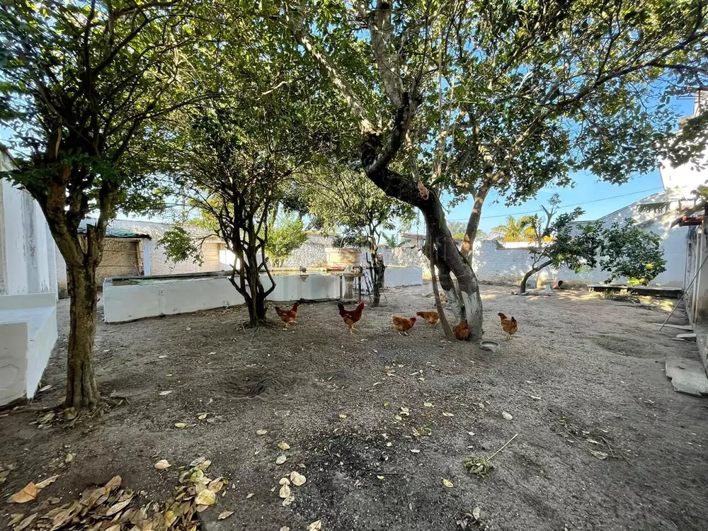 Casa, 6 quartos, 400 m² - Foto 32
