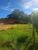 Terreno, 598 m² - Foto 3