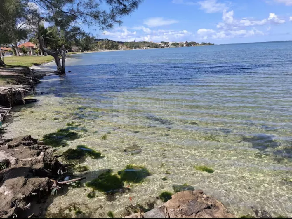 Terreno, 470 m² - Foto 3