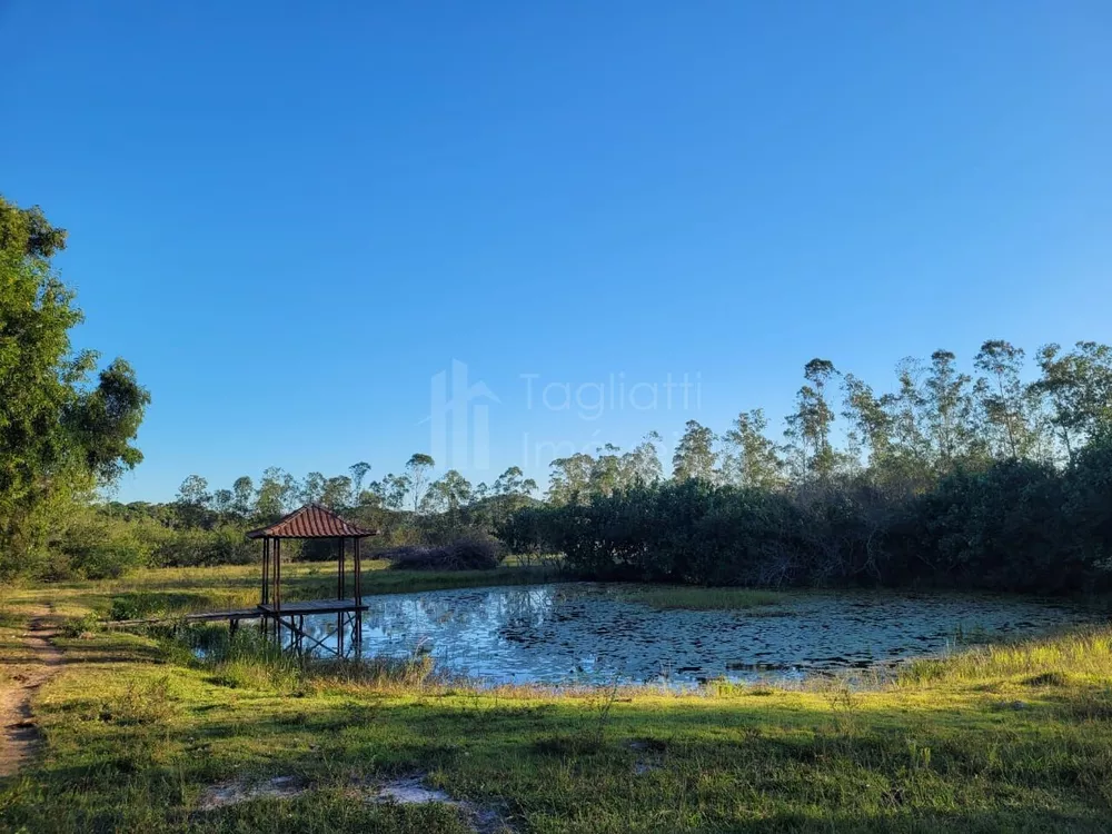 Sítio, 6 quartos, 5 hectares - Foto 14