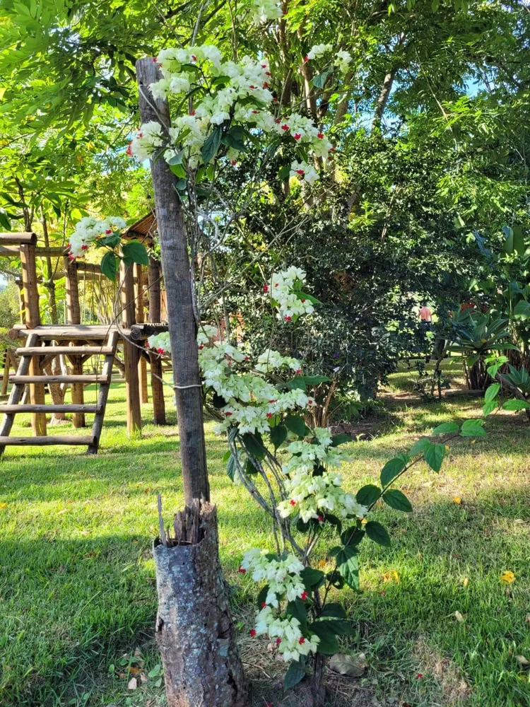 Sítio, 6 quartos, 5 hectares - Foto 27