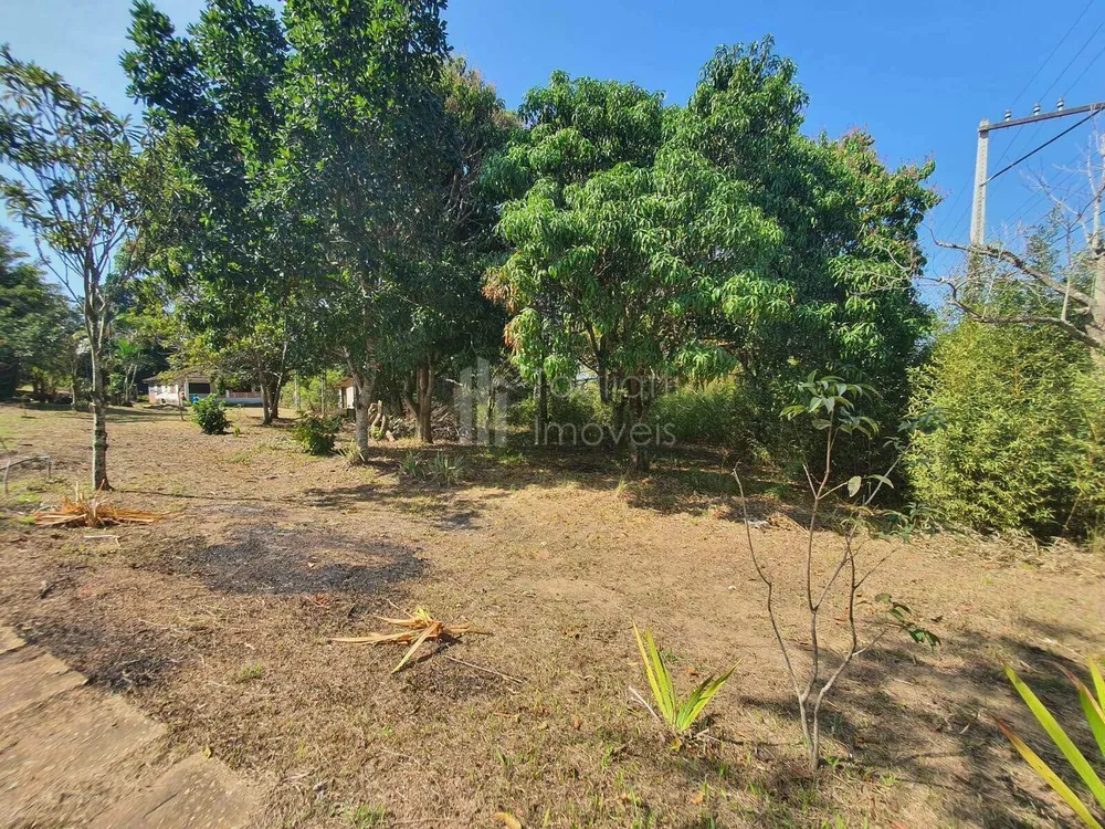 Casa, 7 quartos, 400 m² - Foto 20