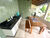 Casa, 3 quartos, 91 m² - Foto 10