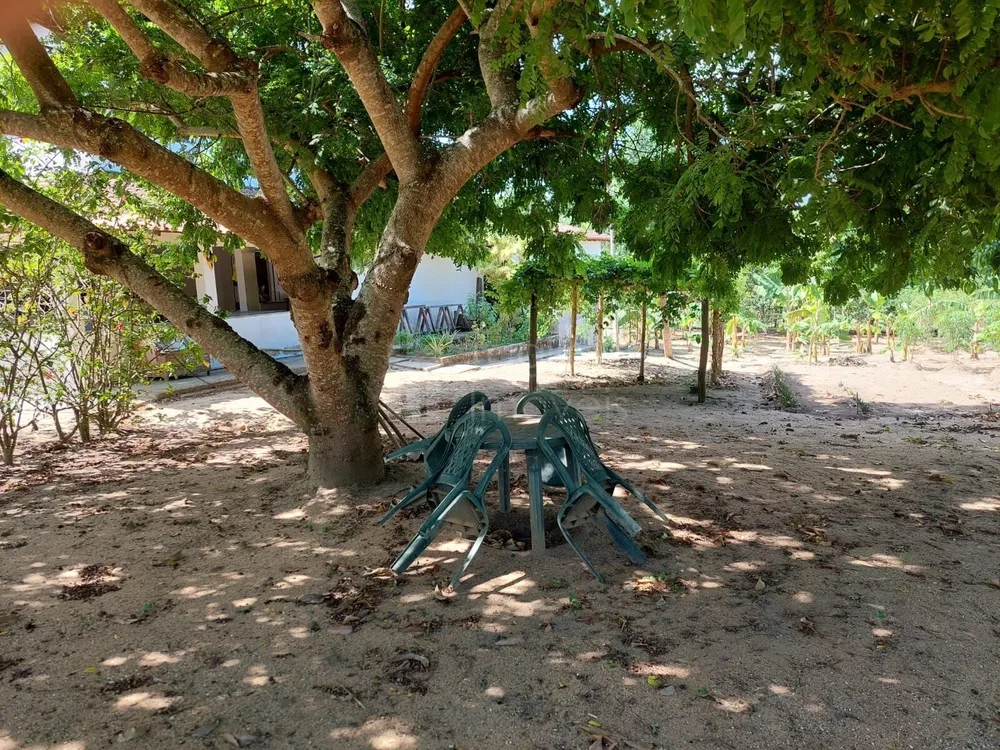 Chácara, 4 quartos, 5500 m² - Foto 5