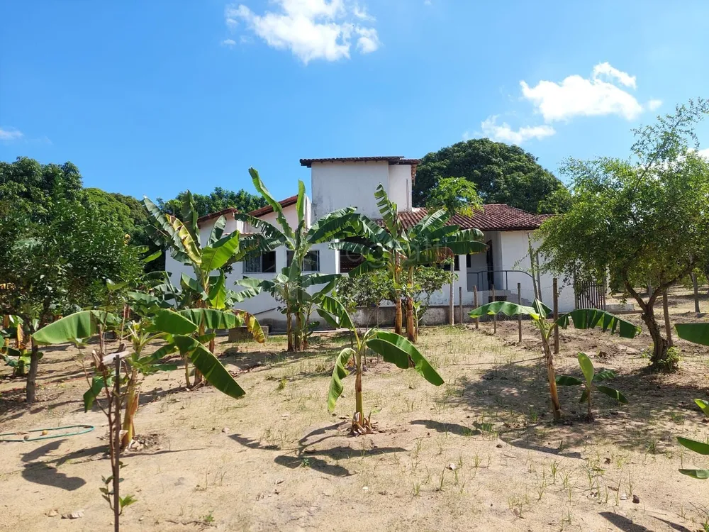 Chácara, 4 quartos, 5500 m² - Foto 3