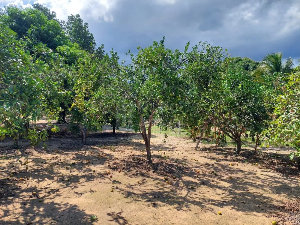 Chácara, 4 quartos, 5500 m² - Foto 21