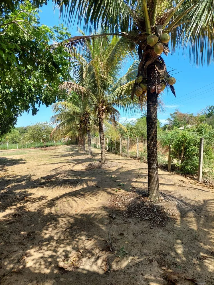 Sítio, 4 quartos, 5500 m² - Foto 9