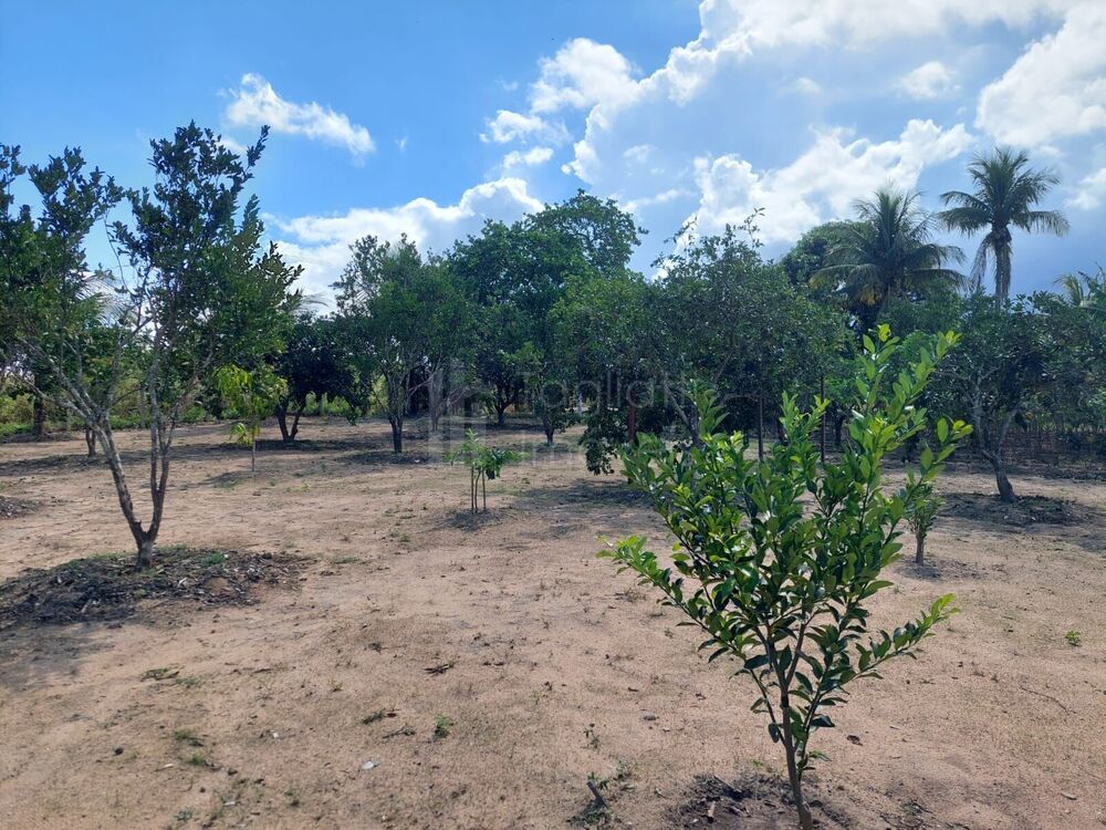 Sítio à venda com 4 quartos, 5500m² - Foto 8