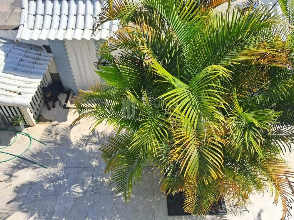 Casa, 3 quartos, 300 m² - Foto 53