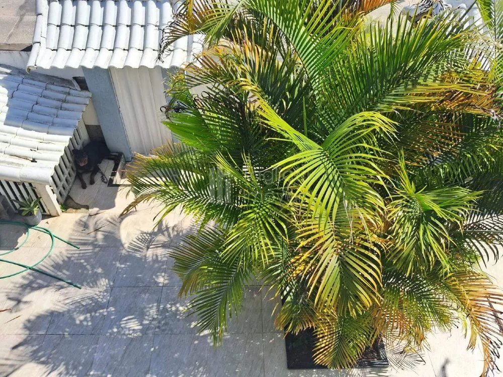 Casa, 3 quartos, 300 m² - Foto 27