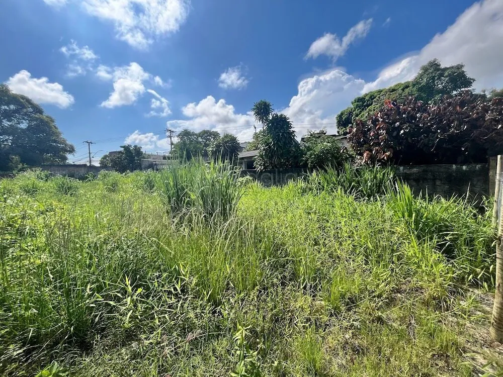 Terreno, 450 m² - Foto 9