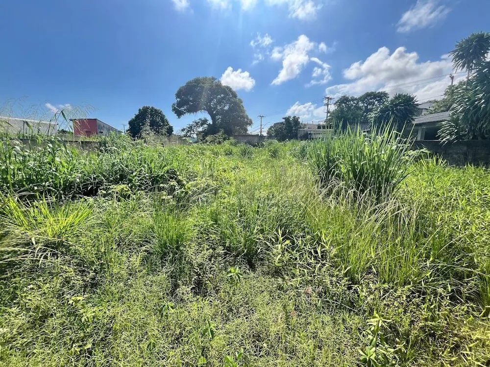 Terreno, 450 m² - Foto 7