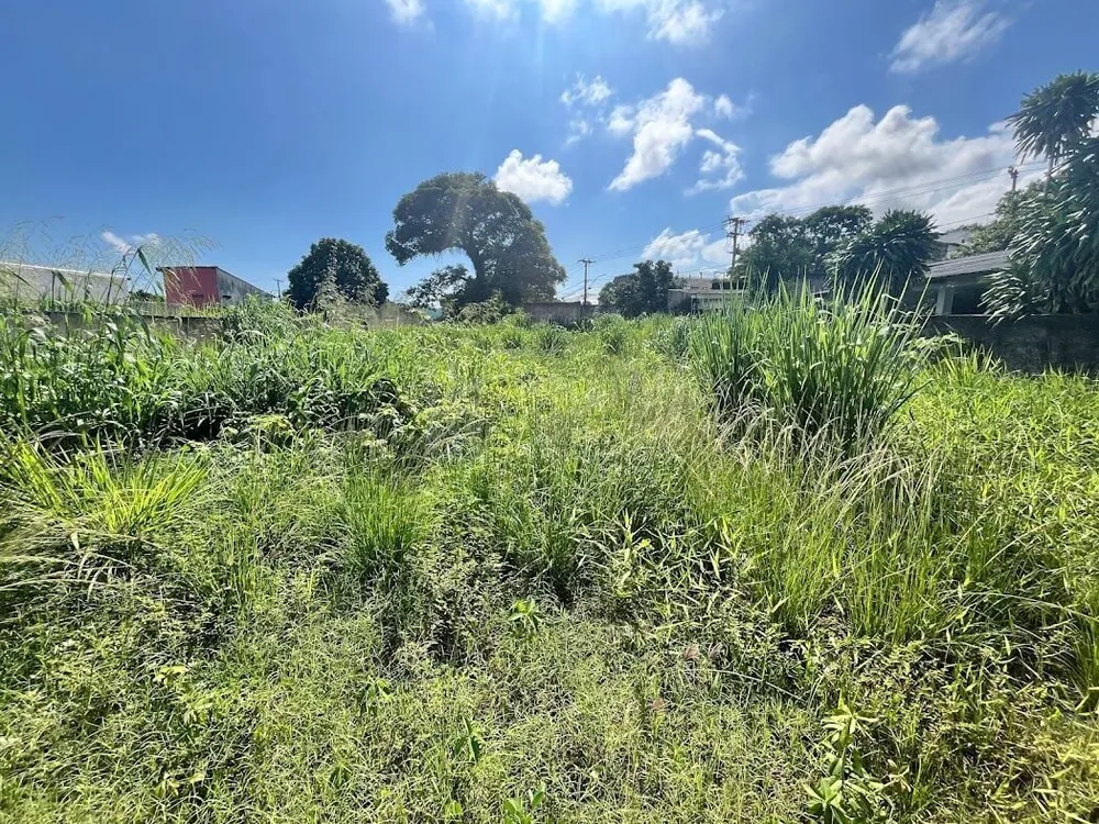 Terreno, 450 m² - Foto 11