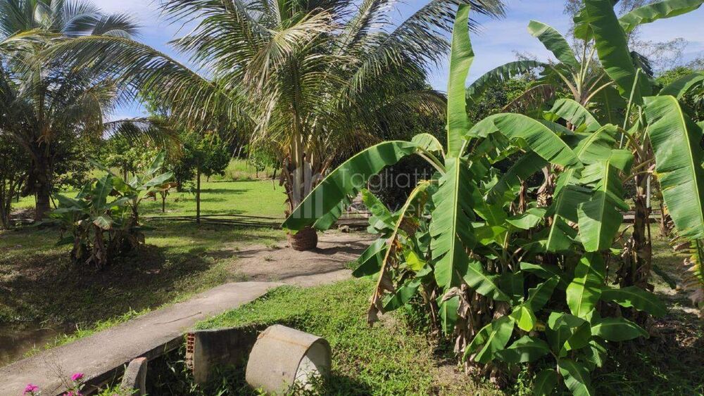 Sítio, 2 quartos, 2 hectares - Foto 29