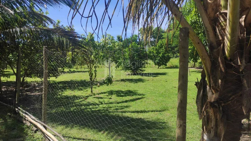 Sítio, 2 quartos, 2 hectares - Foto 26