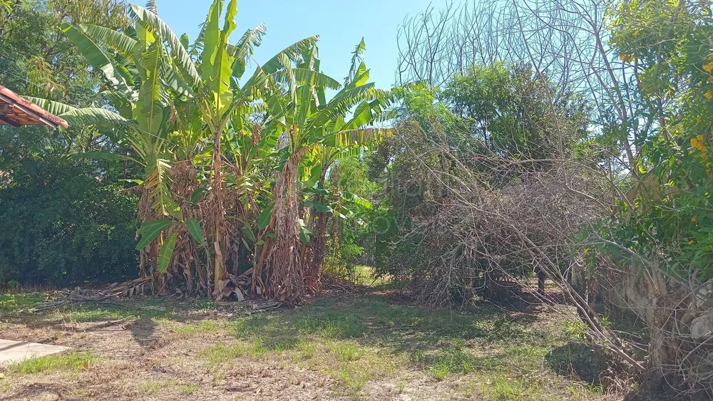 Terreno, 1350 m² - Foto 12