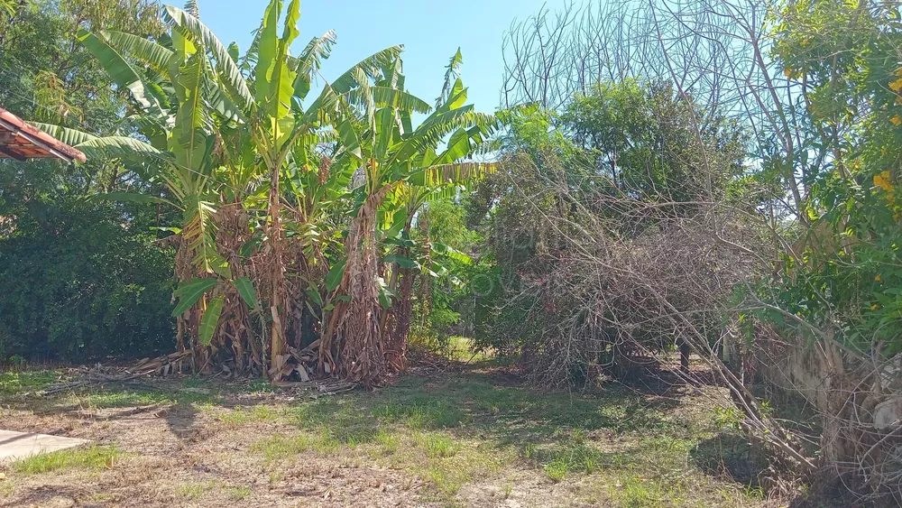 Terreno, 1350 m² - Foto 6