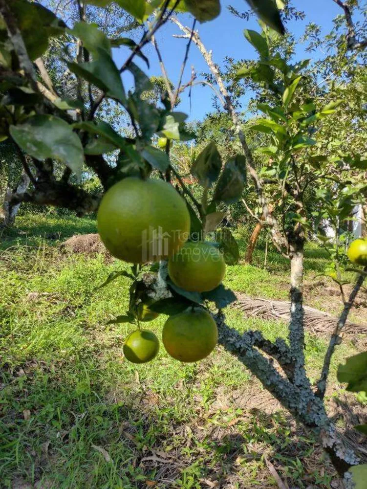 Sítio, 4 quartos, 2 hectares - Foto 10