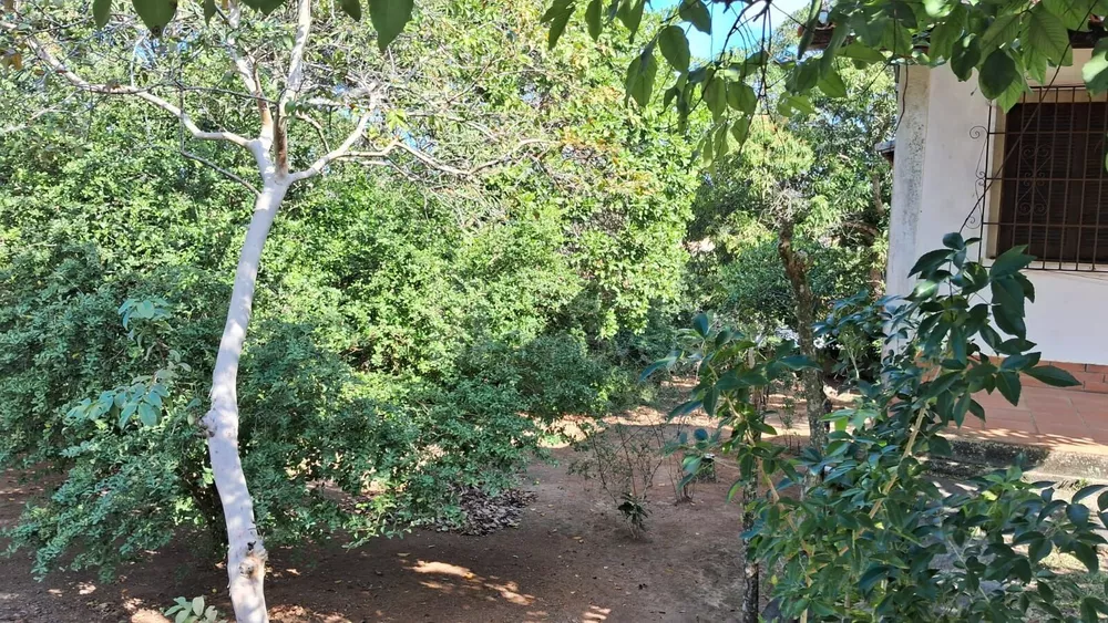 Terreno, 449 m² - Foto 3