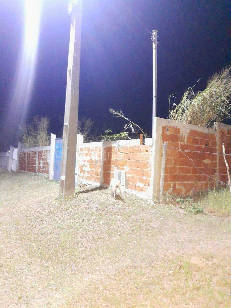Terreno, 450 m² - Foto 7