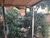 Casa, 2 quartos, 70 m² - Foto 27