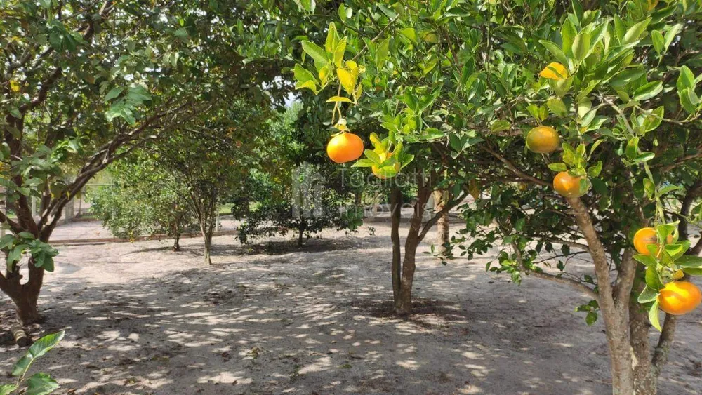 Sítio, 2 quartos, 2 hectares - Foto 47