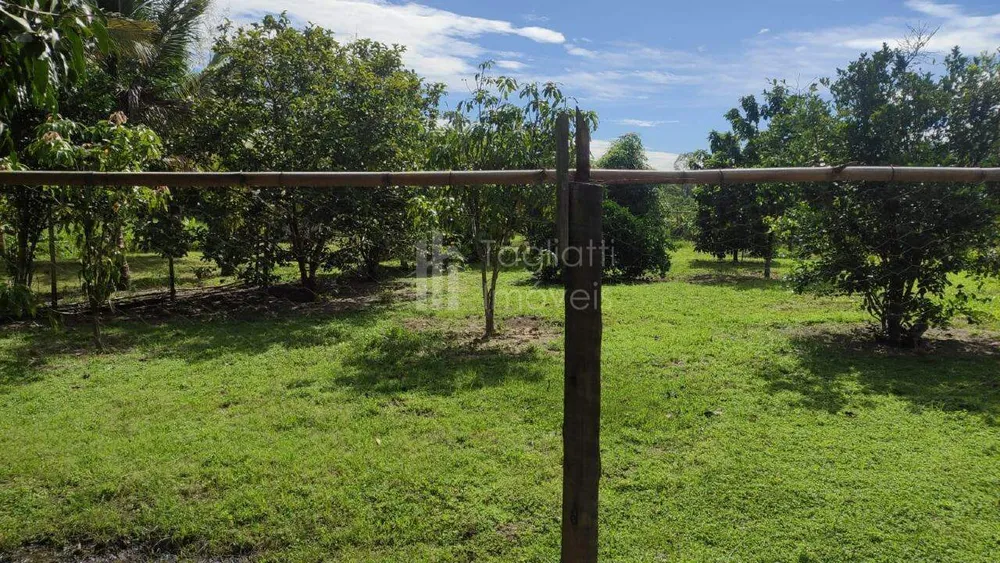 Sítio, 2 quartos, 2 hectares - Foto 28