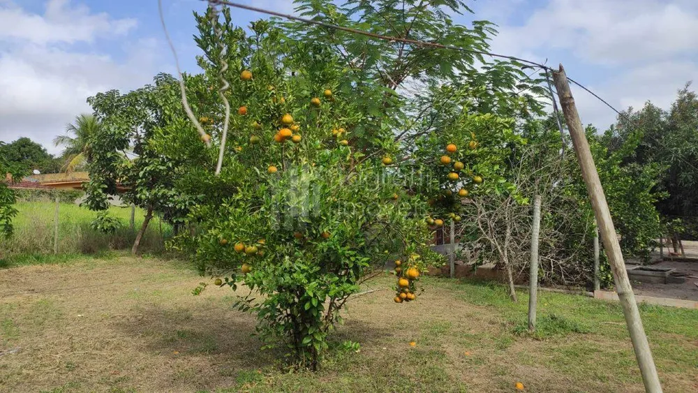 Sítio, 2 quartos, 2 hectares - Foto 25