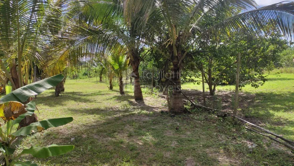 Sítio, 2 quartos, 2 hectares - Foto 27