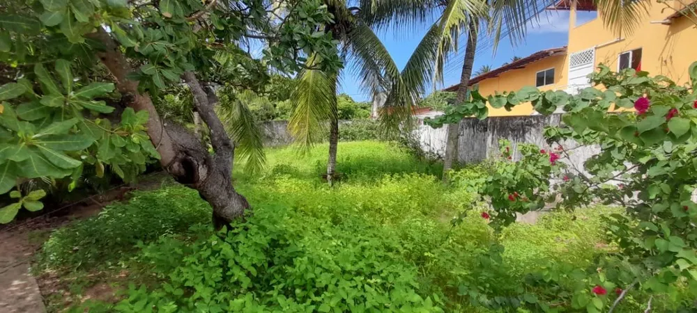 Casa, 3 quartos, 280 m² - Foto 8