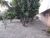 Casa, 1 quarto, 450 m² - Foto 1