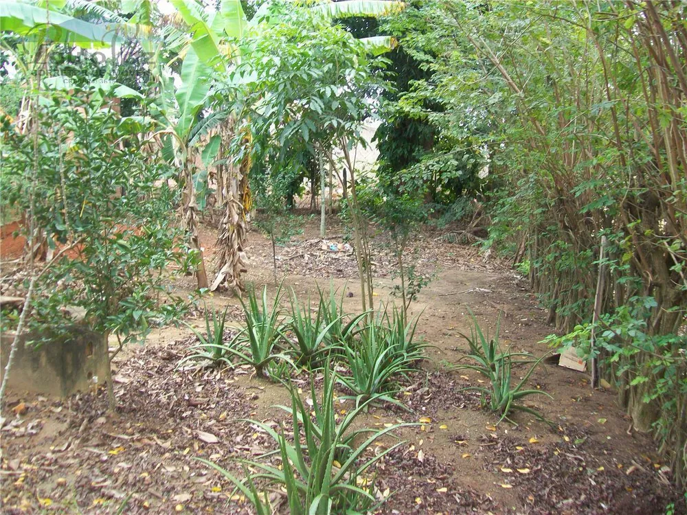 Terreno, 548 m² - Foto 5