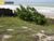 Terreno, 468 m² - Foto 6