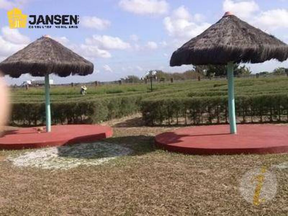 Casa à venda com 3 quartos, 750m² - Foto 4