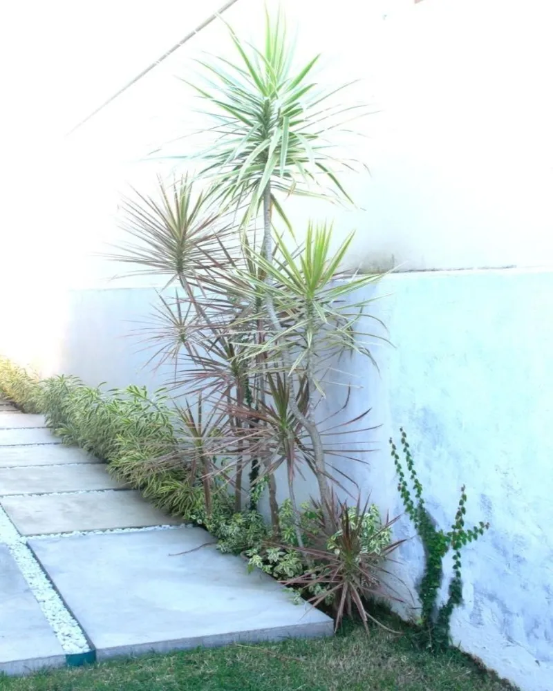 Casa, 3 quartos, 155 m² - Foto 10